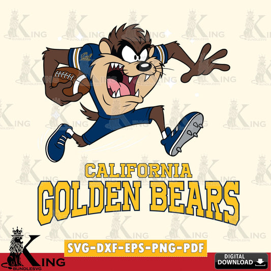 California Golden Bears Angry Taz Football SVG file, Cut file  , Digital Download , Instant Download, Taz svg, NCAA svg